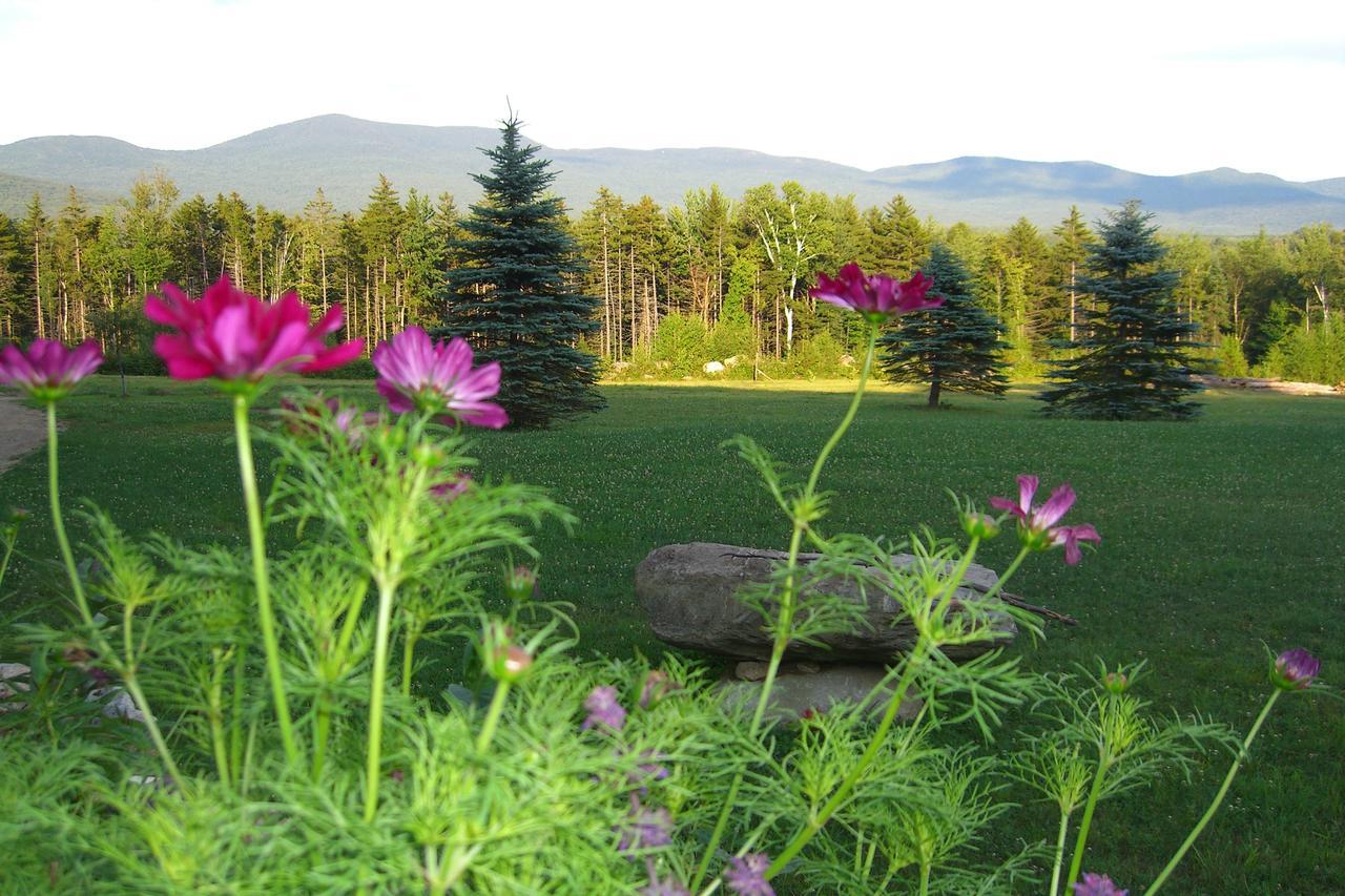 Robert Frost Mountain Cabins 米德尔伯里 外观 照片