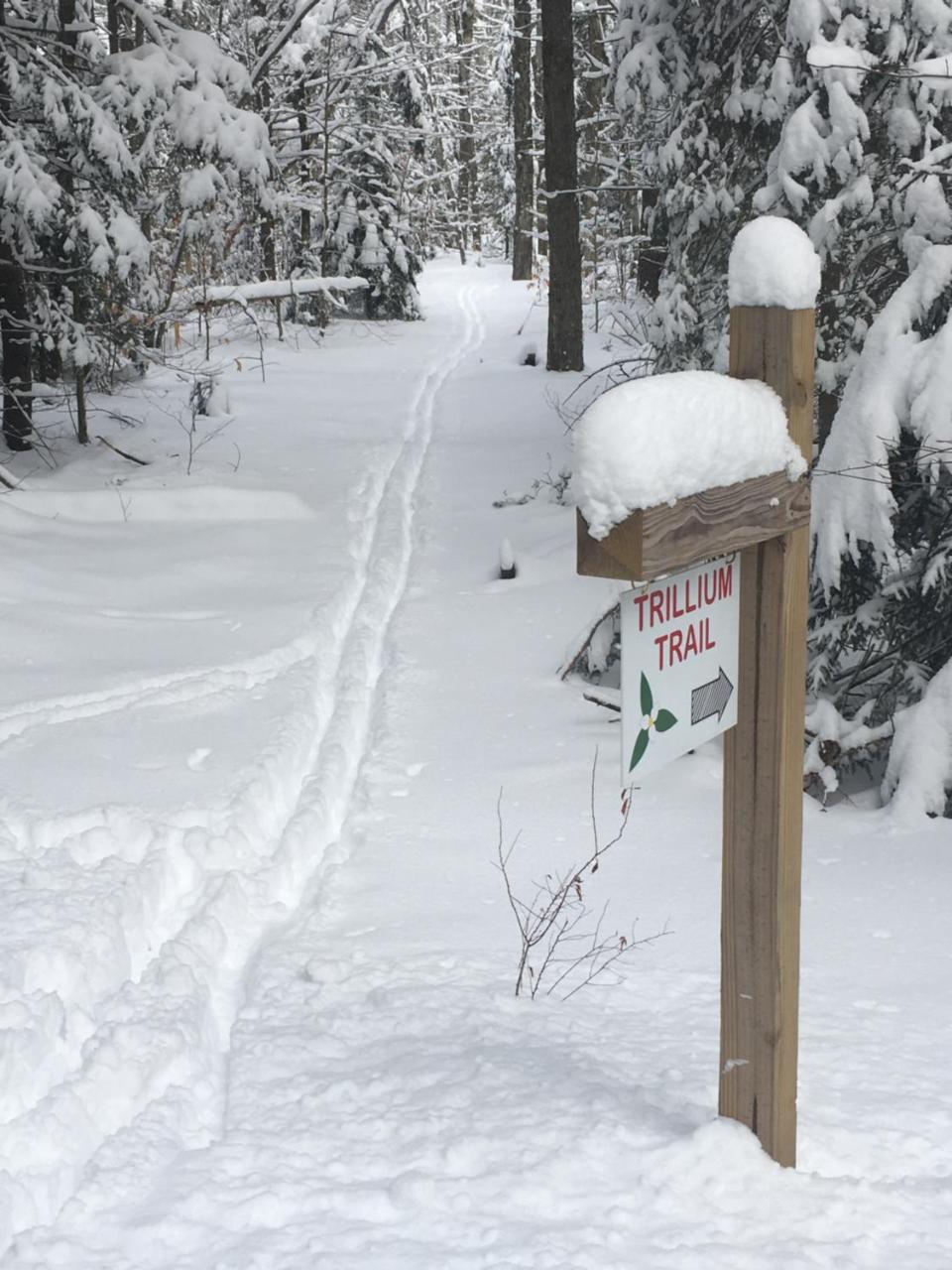 Robert Frost Mountain Cabins 米德尔伯里 外观 照片