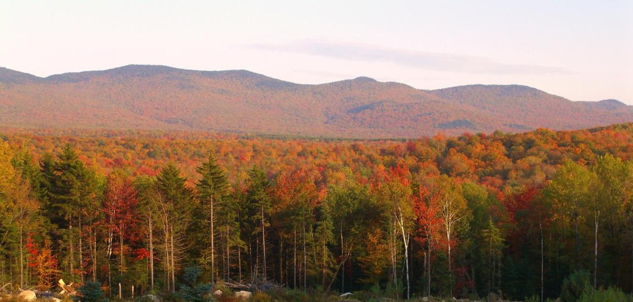 Robert Frost Mountain Cabins 米德尔伯里 外观 照片